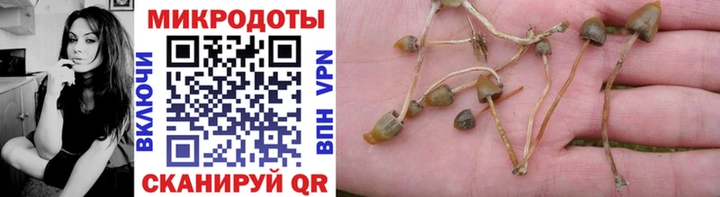 Галлюциногенные грибы мицелий Альметьевск