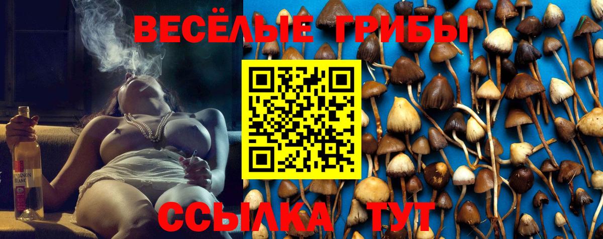 Псилоцибиновые грибы мицелий Альметьевск