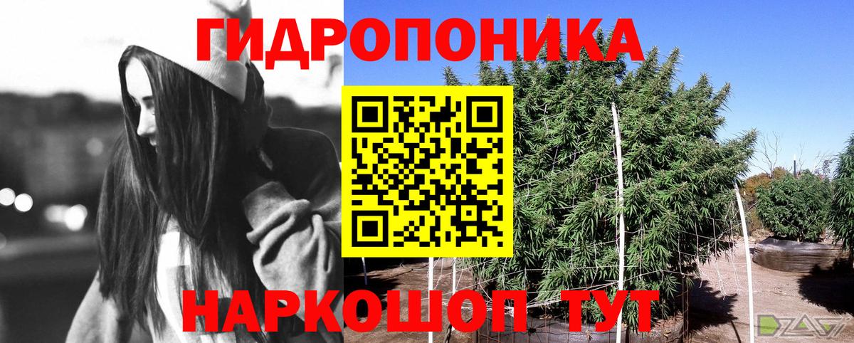 Бошки Шишки конопля  Вход с VPN  МАРИХУАНА OG Kush  Альметьевск  МАРИХУАНА White Widow 